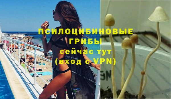 PSILOCYBIN Михайловск