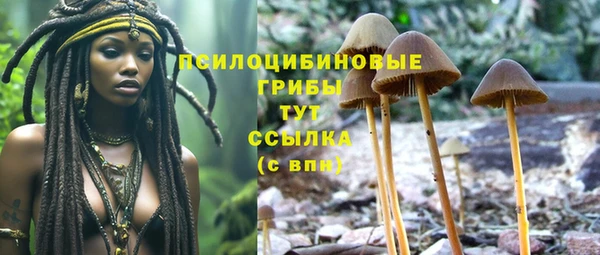 PSILOCYBIN Михайловск