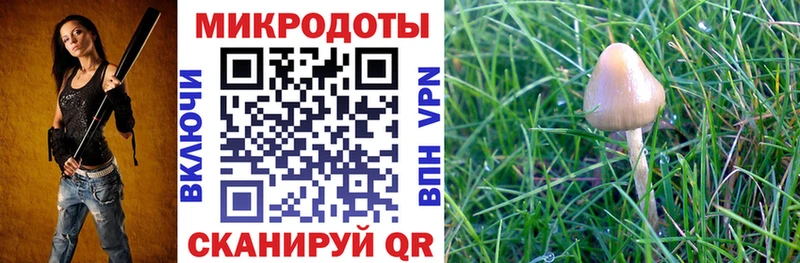 Галлюциногенные грибы MAGIC MUSHROOMS  Орёл 